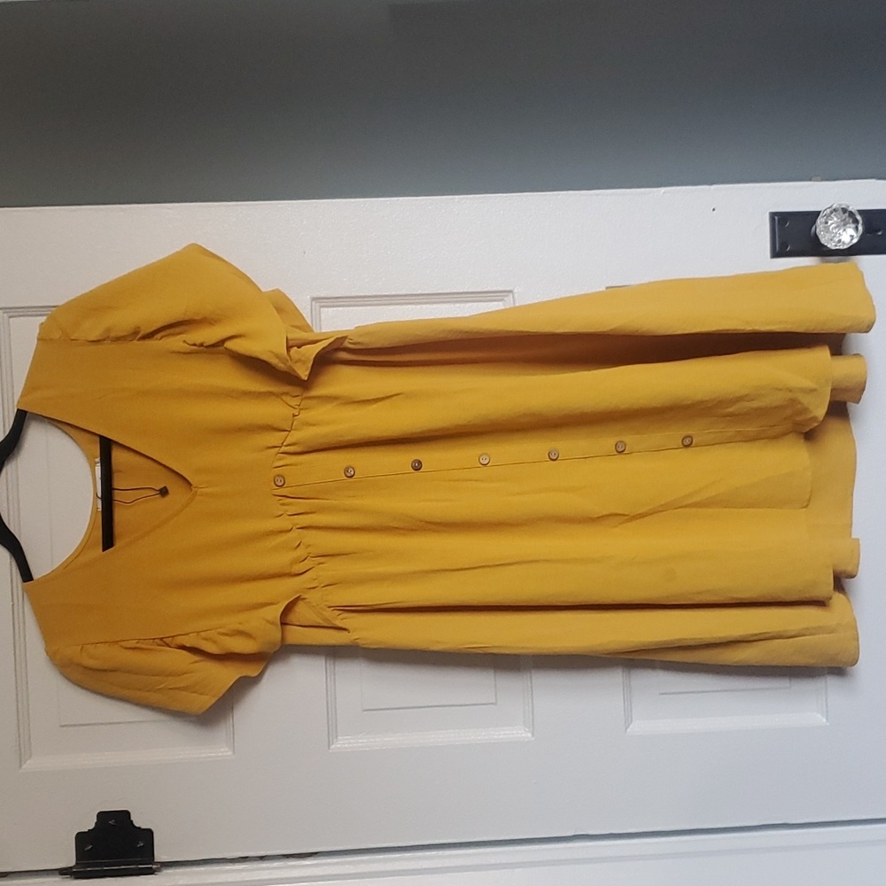 Mustard in color knee length dress.